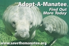 Adopt-A-Manatee